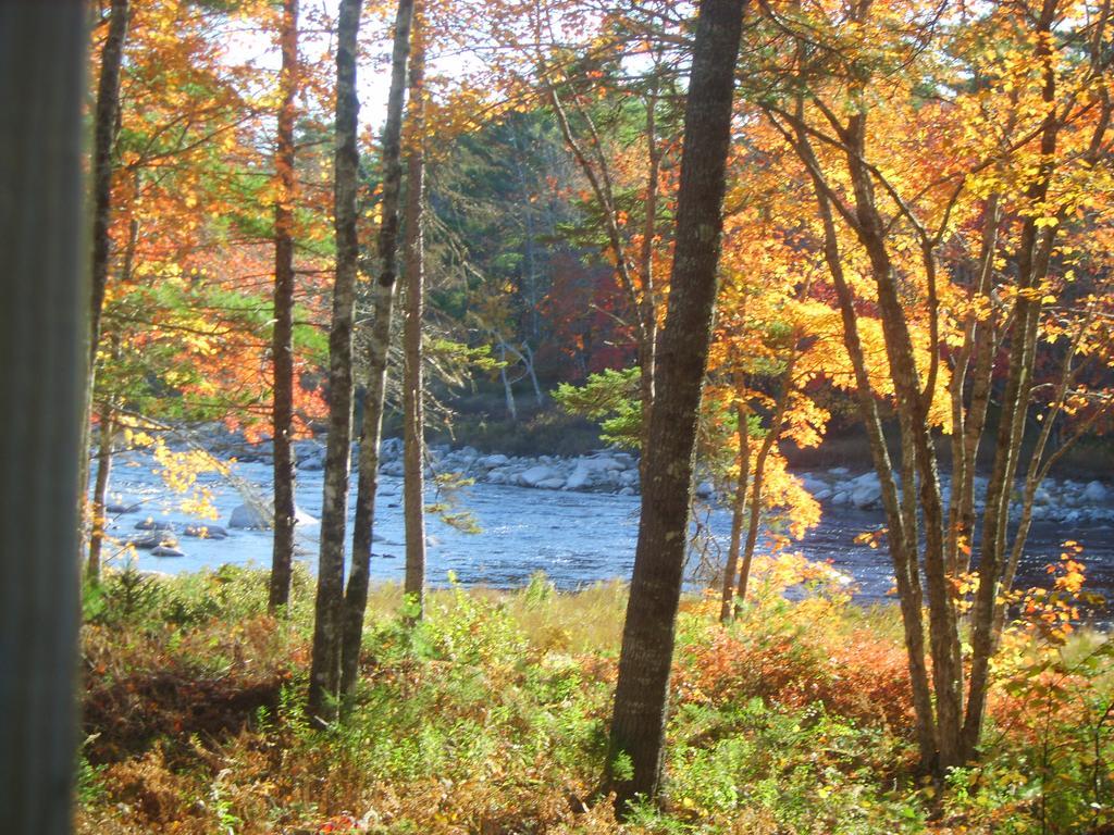 شلبورن Roseway River Cottages المظهر الخارجي الصورة