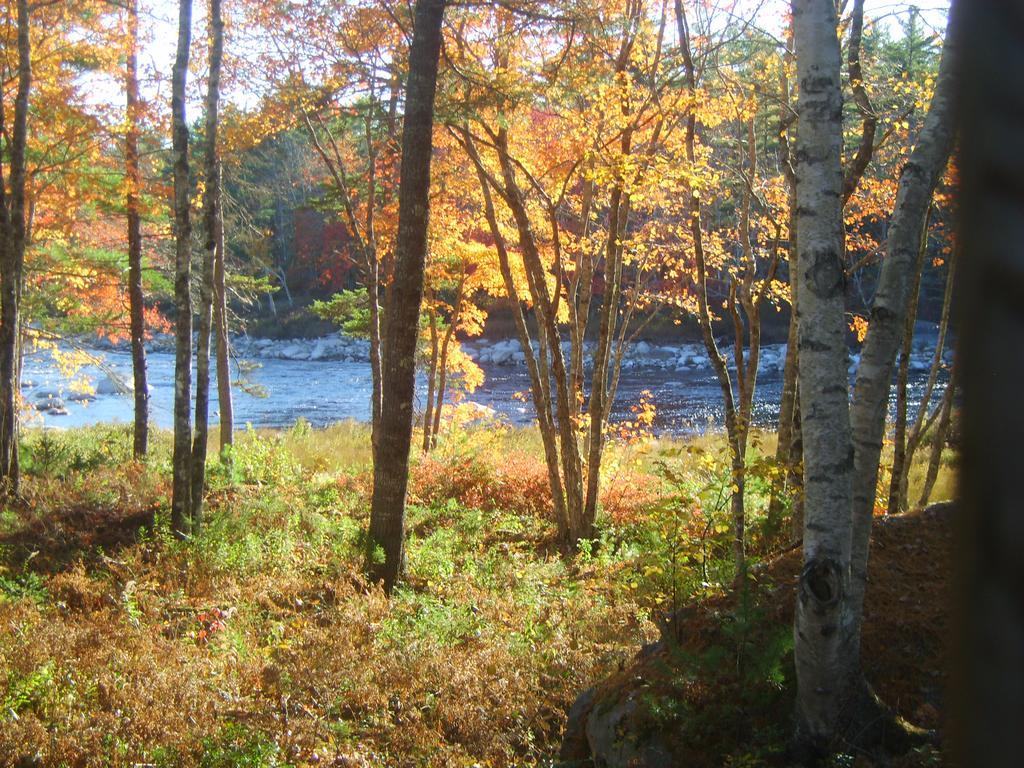 شلبورن Roseway River Cottages المظهر الخارجي الصورة