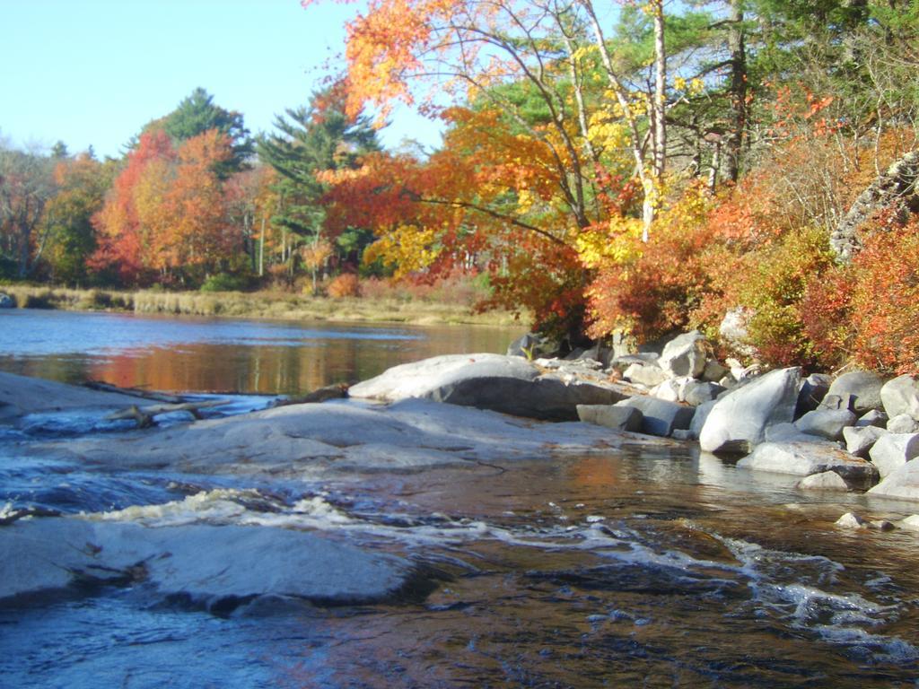 شلبورن Roseway River Cottages المظهر الخارجي الصورة