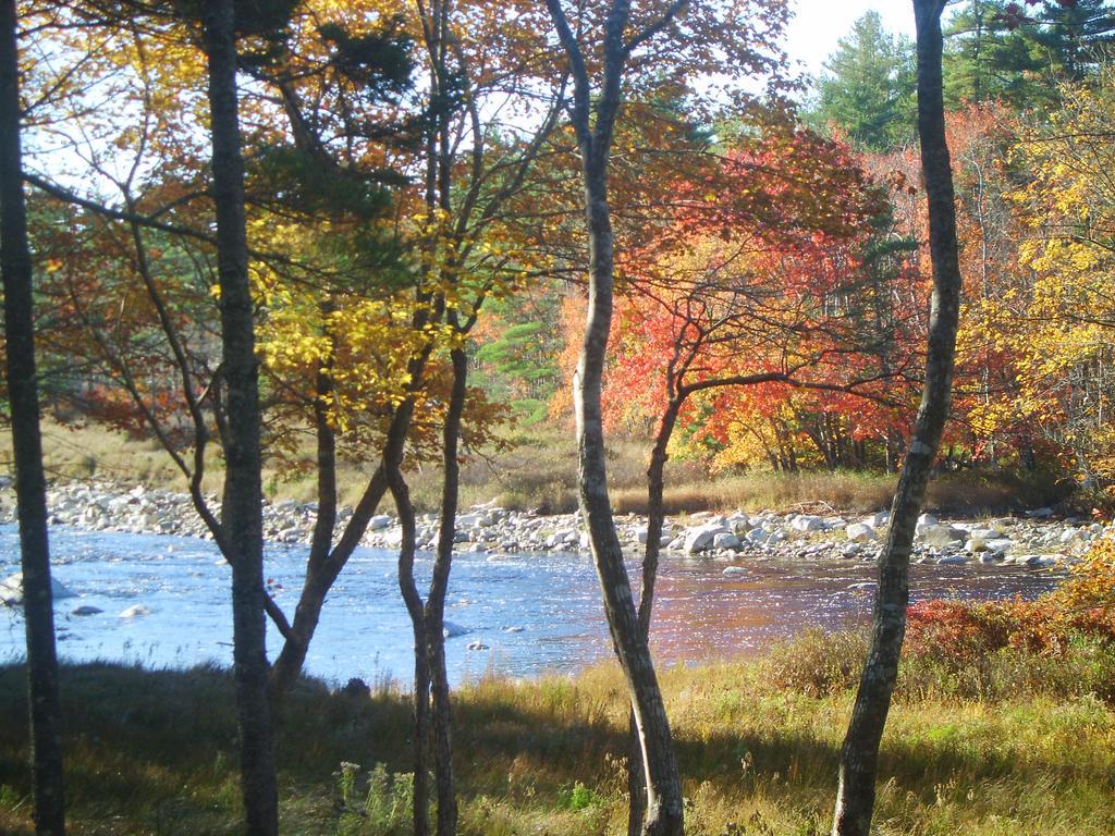 شلبورن Roseway River Cottages المظهر الخارجي الصورة