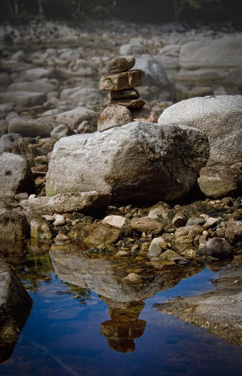 شلبورن Roseway River Cottages المظهر الخارجي الصورة