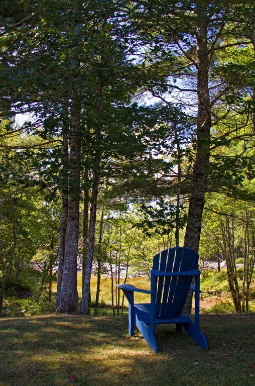 شلبورن Roseway River Cottages المظهر الخارجي الصورة