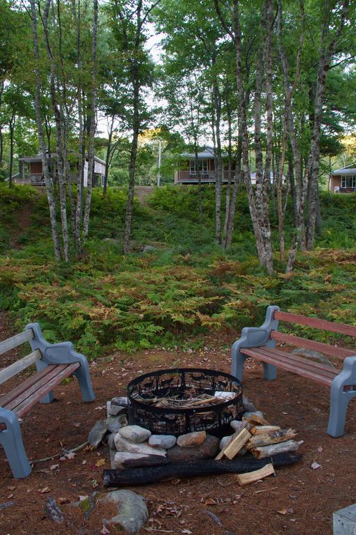 شلبورن Roseway River Cottages المظهر الخارجي الصورة